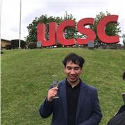 Clases de ingles, a niños, adolescentes y adultos, online